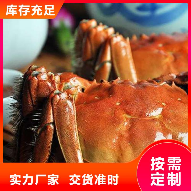 蟹阳澄湖大闸蟹到哪里买专业设计