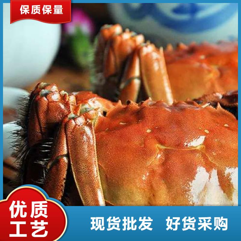 蟹阳澄湖大闸蟹几两吃现货批发