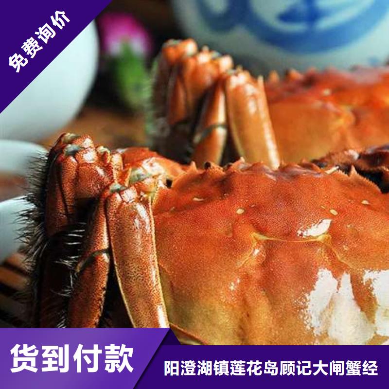 蟹阳澄湖大闸蟹礼盒实力厂家直销