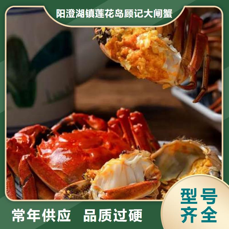 蟹阳澄湖大闸蟹礼盒实力厂家直销