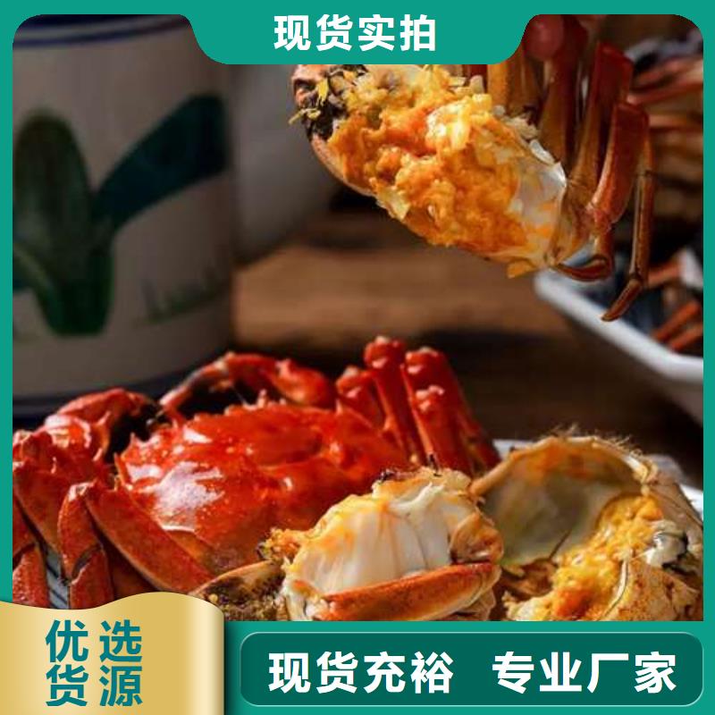 蟹阳澄湖大闸蟹到哪里买专业设计