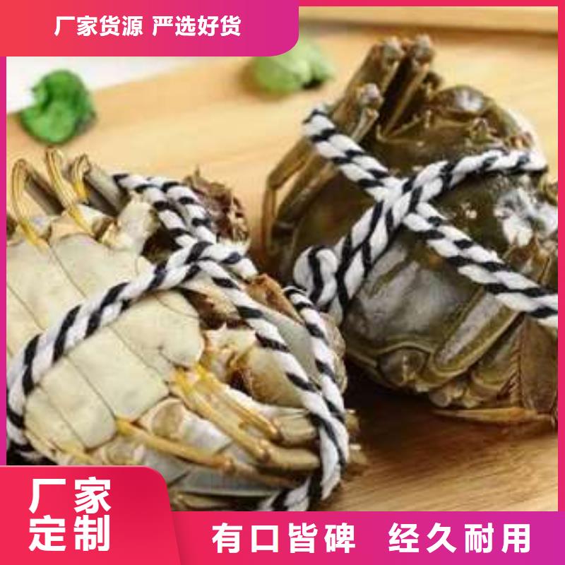 蟹,阳澄湖大闸蟹到哪里买源厂供货