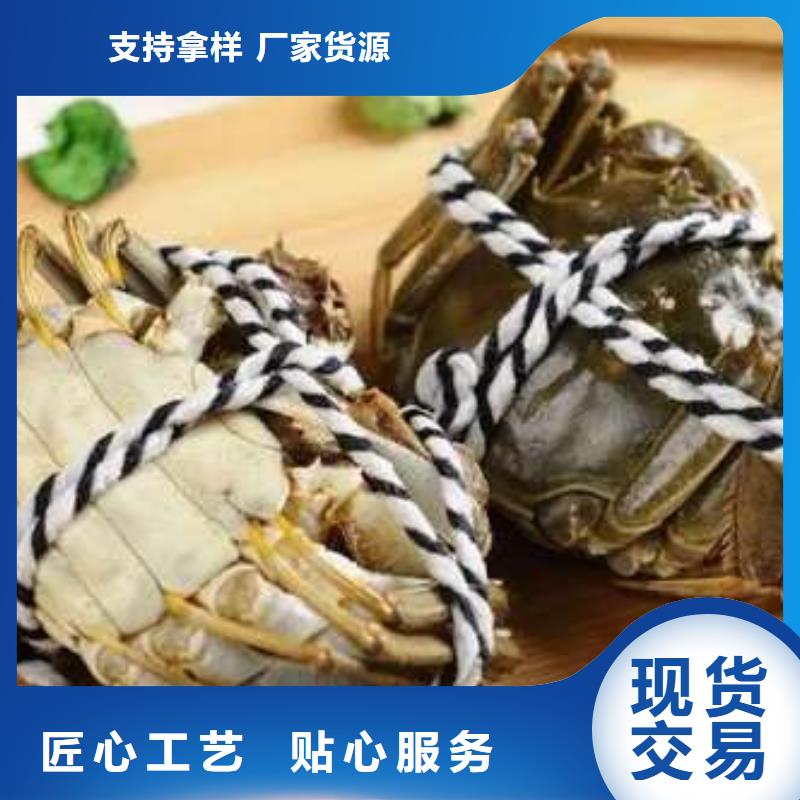 蟹近的阳澄湖大闸蟹销售点专业生产设备