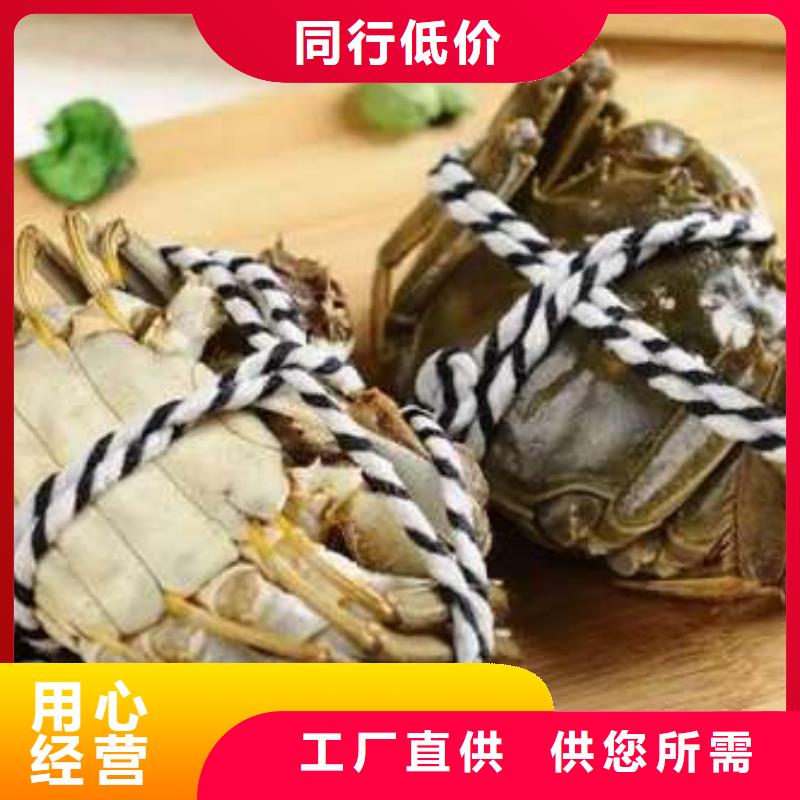 蟹阳澄湖大闸蟹到哪里买专业设计