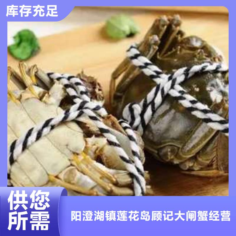 蟹阳澄湖大闸蟹几两吃现货批发