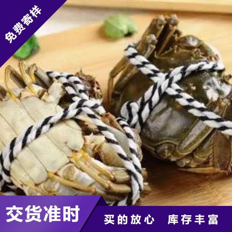 蟹阳澄湖大闸蟹礼盒实力厂家直销