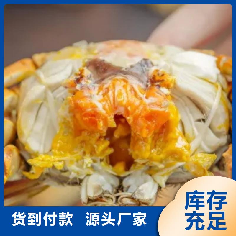 蟹阳澄湖大闸蟹几两吃现货批发