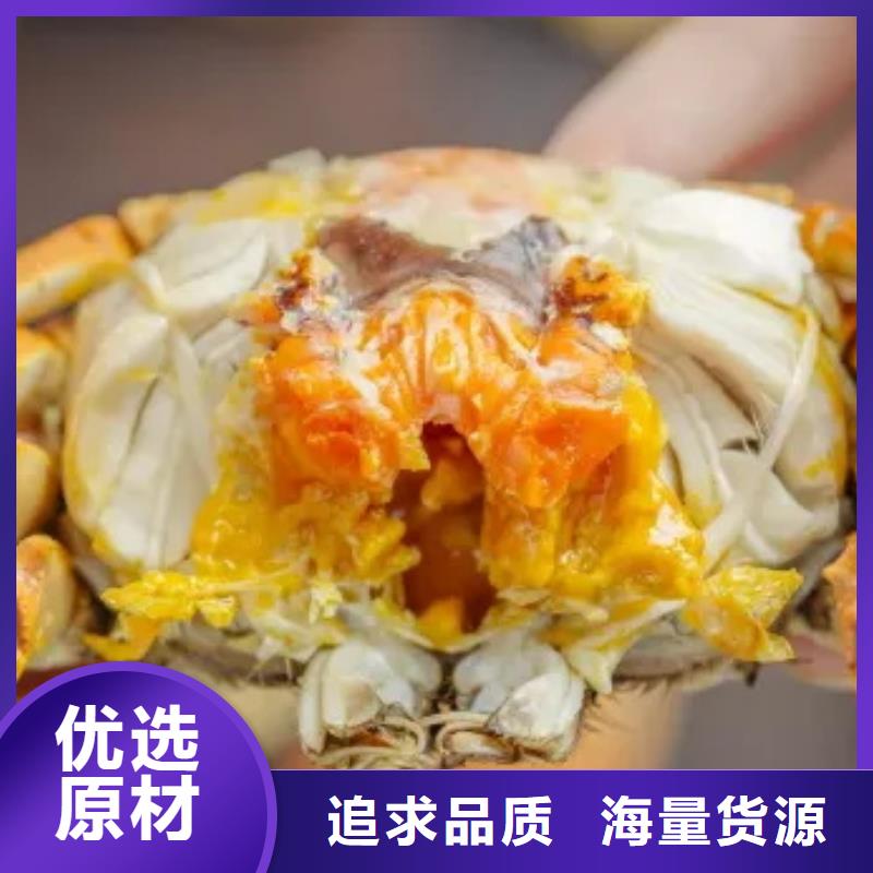 蟹阳澄湖大闸蟹礼盒实力厂家直销