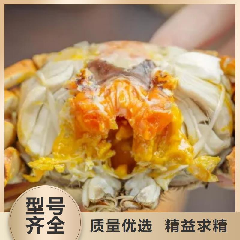 蟹阳澄湖大闸蟹到哪里买专业设计