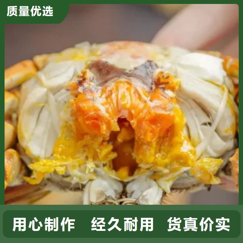 蟹-阳澄湖大闸蟹直营店实力优品