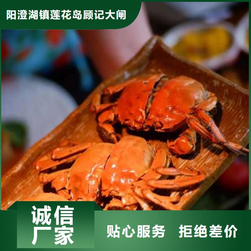 蟹阳澄湖大闸蟹网购严选材质