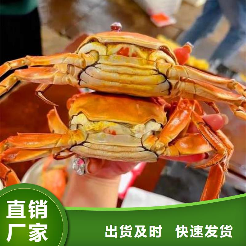 蟹阳澄湖大闸蟹礼盒定制批发