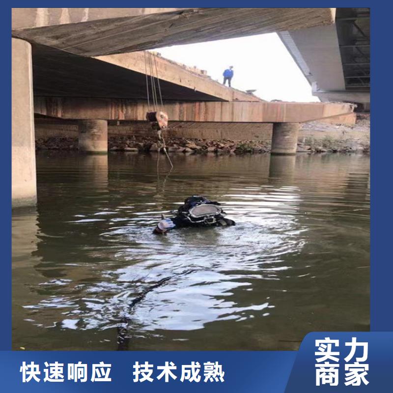 蛙人服务公司,水下维修质优价廉