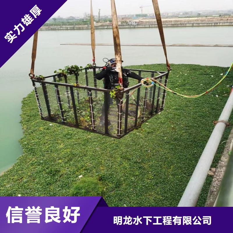 蛙人服务公司,水下维修质优价廉