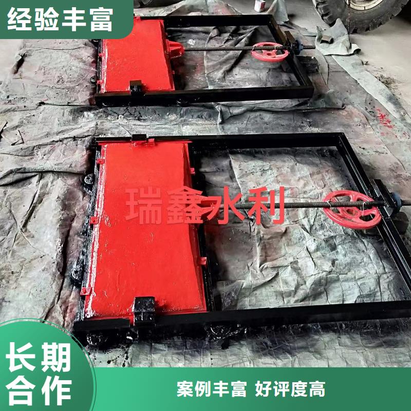 闸门_双向转动闸门实力公司