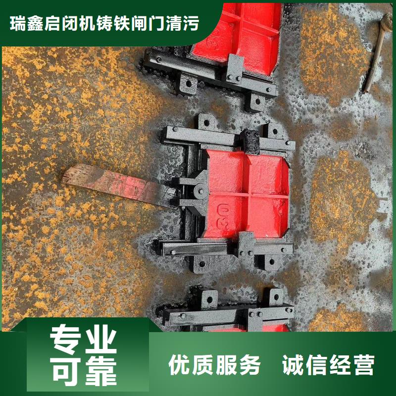 闸门_双向转动闸门实力公司