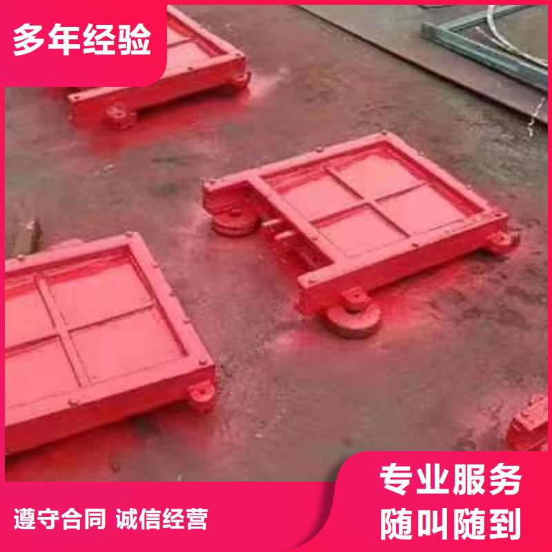 闸门双止水铸铁闸门敢与同行比价格