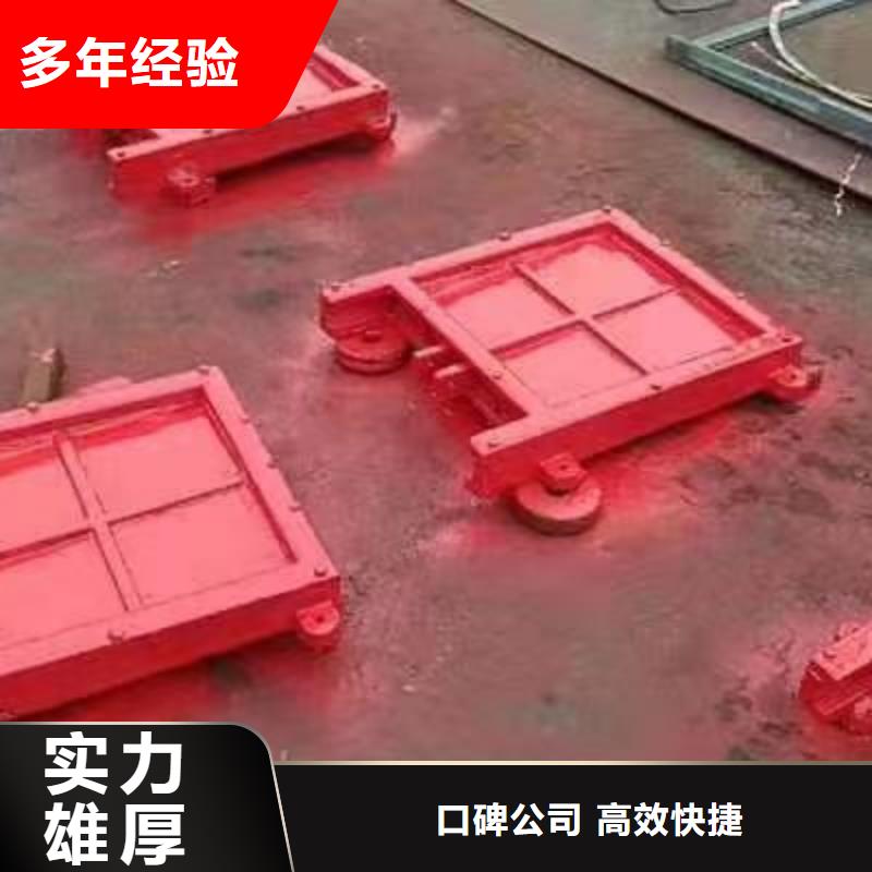 闸门_水坝止水闸门启闭机精工制作