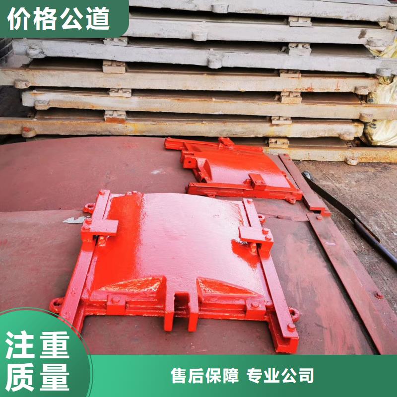 闸门拱形铸铁闸门价格公道合理