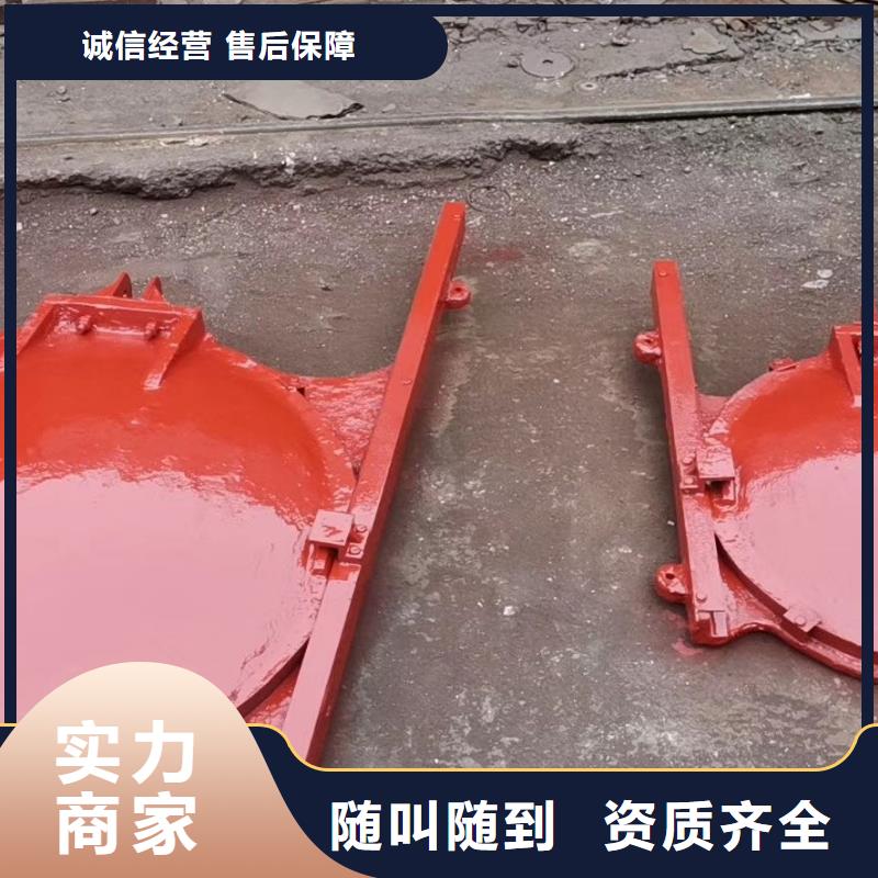 平面拱形闸门-双向螺旋闸门老品牌