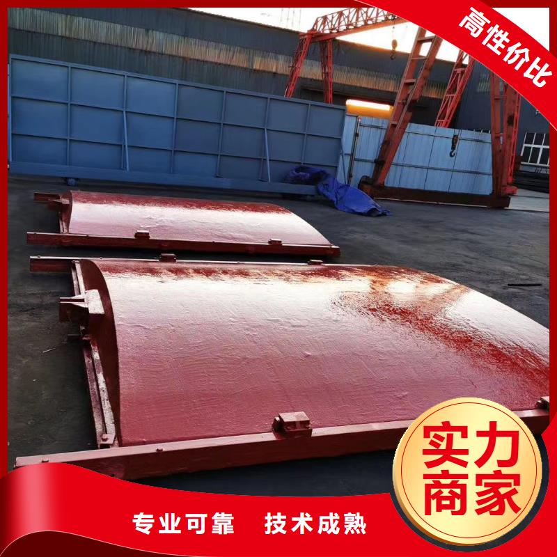 闸门_双向转动闸门实力公司