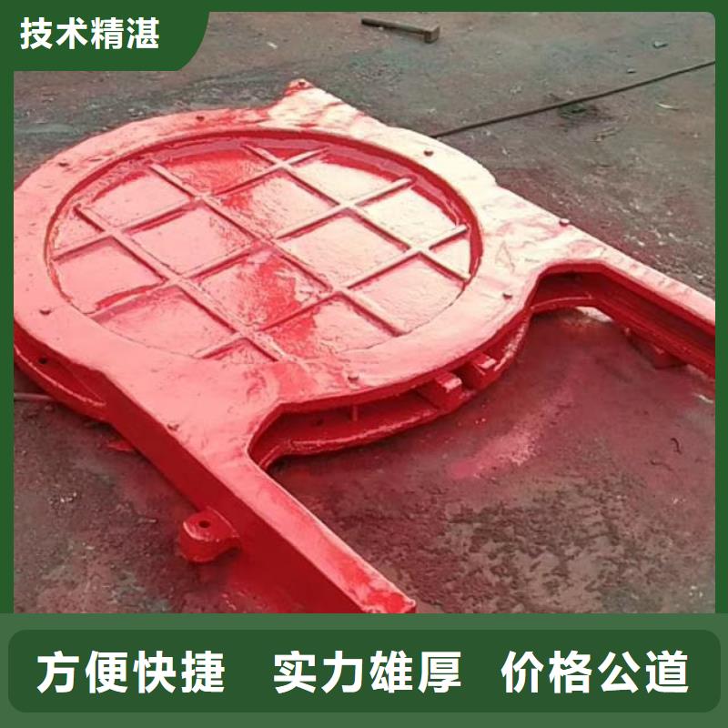 单向止水闸门-品质看得见