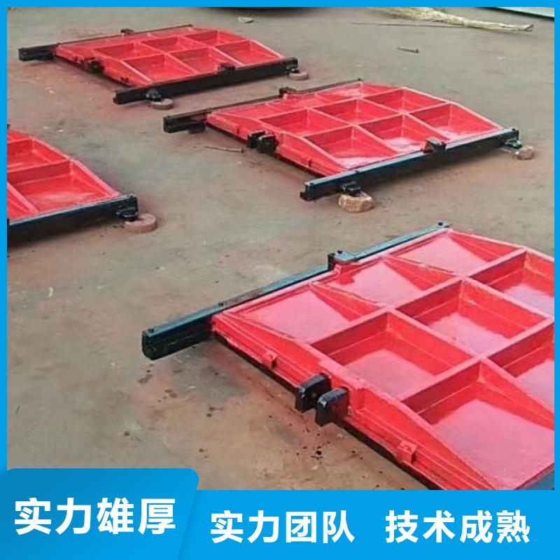 平面拱形闸门-双向螺旋闸门老品牌
