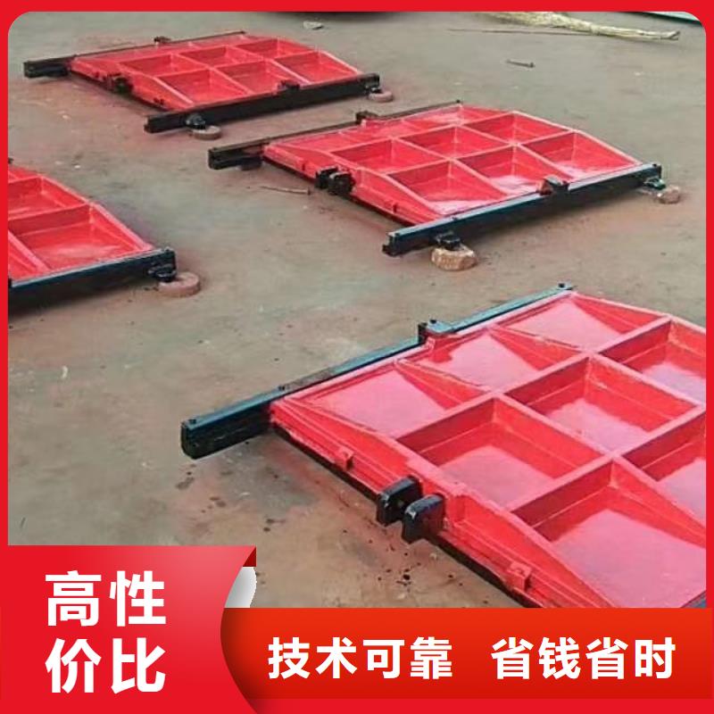 单向止水闸门-品质看得见