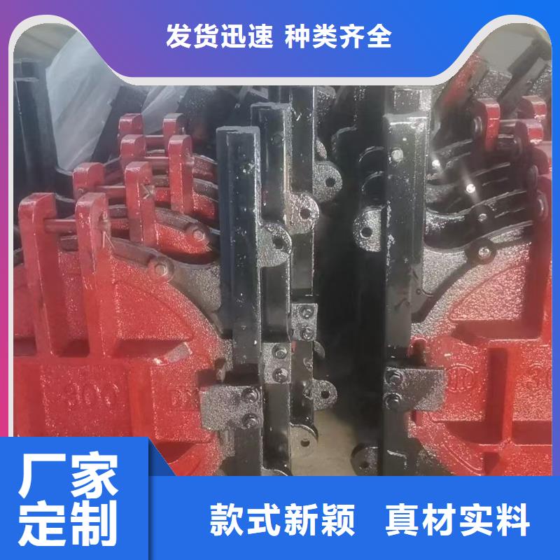 闸门双止水铸铁闸门敢与同行比价格