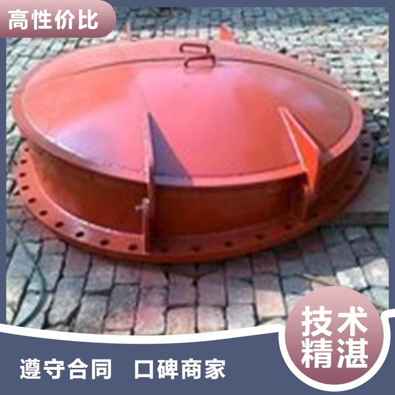 拍门矩形侧翻式拍门定制定做