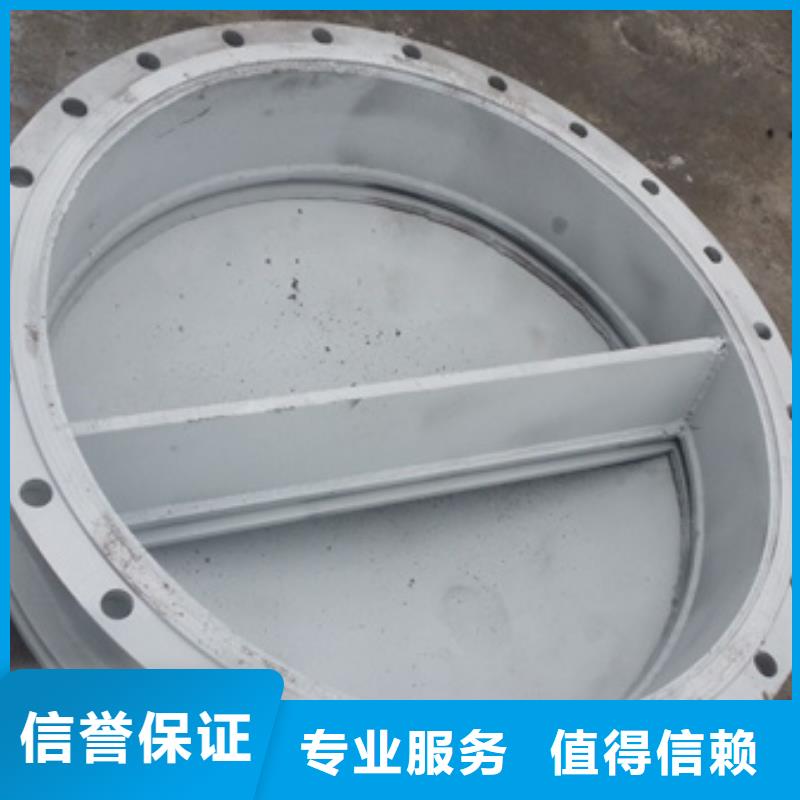 拍门钢制拍门 库存量大