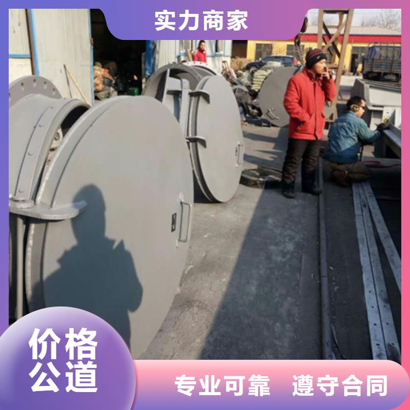 拍门钢制拍门 库存量大