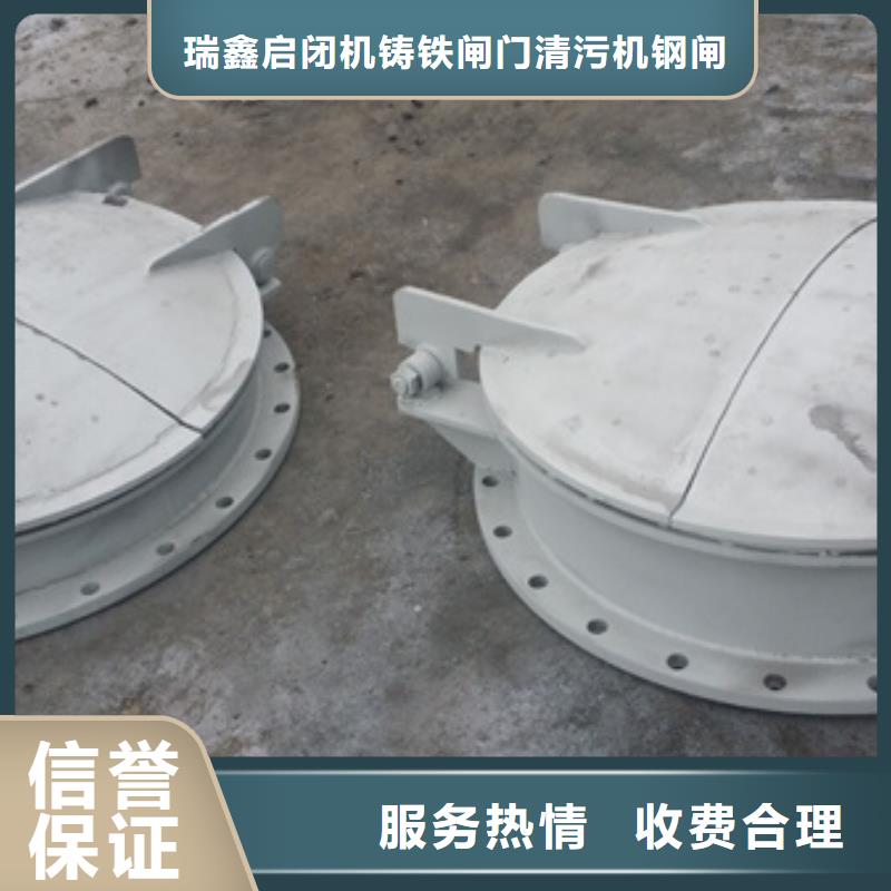 拍门钢制拍门 库存量大