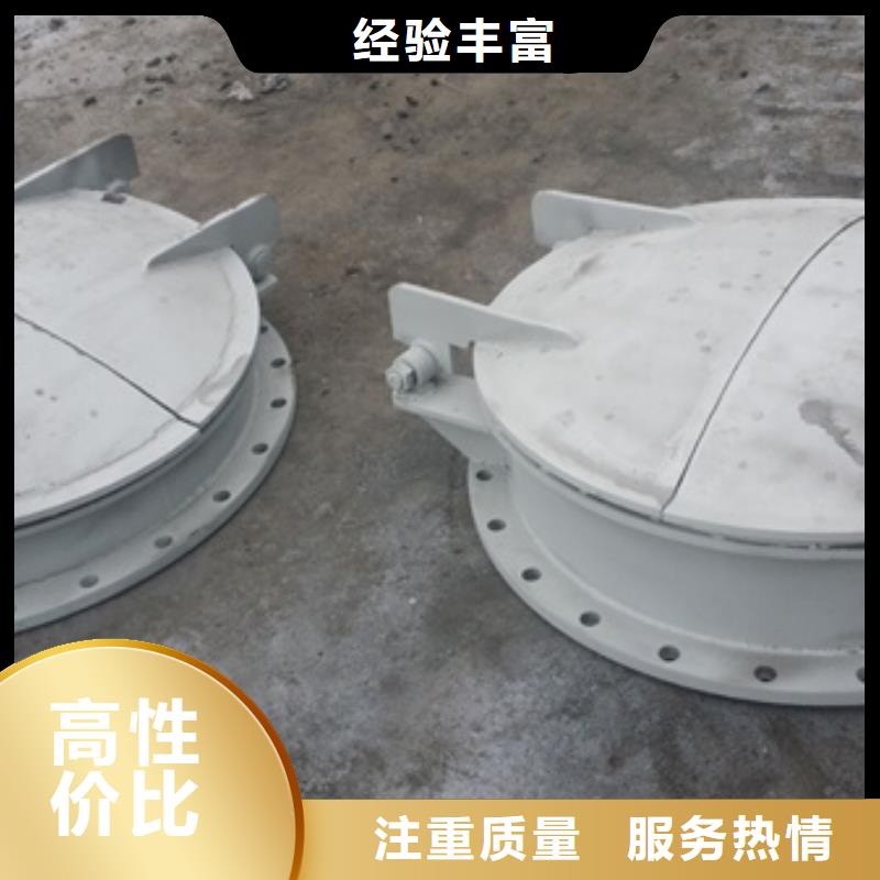 拍门钢制拍门 库存量大