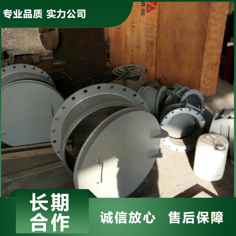 拍门钢制拍门 库存量大