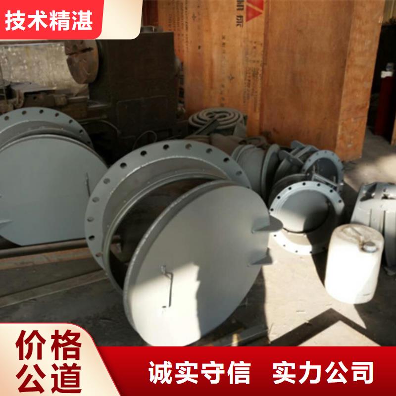 拍门矩形侧翻式拍门定制定做