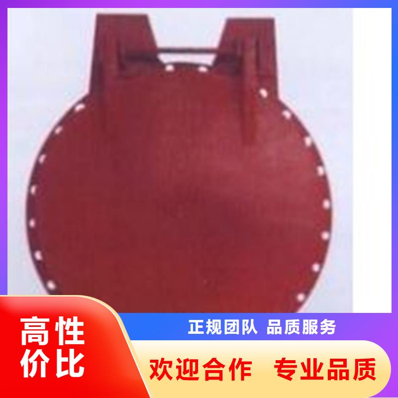 拍门_拍门钢制拍门货品齐全