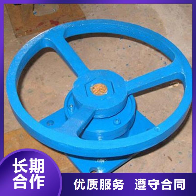 启闭机,河道水闸启闭机随心所欲定制