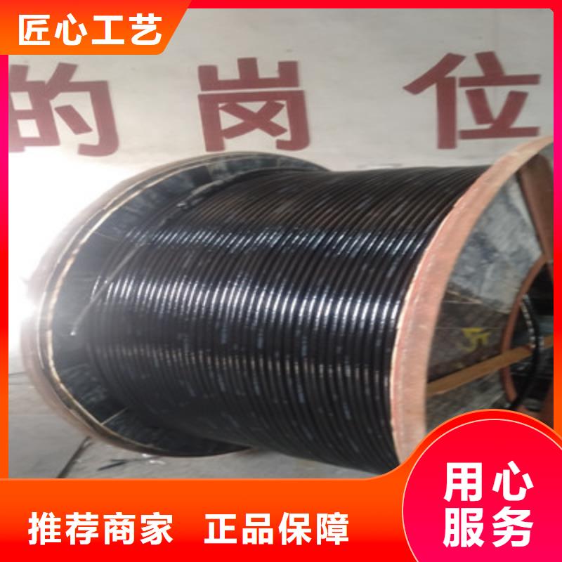 钢带铠装耐火电力电缆NHYJV23 3X10+2X6