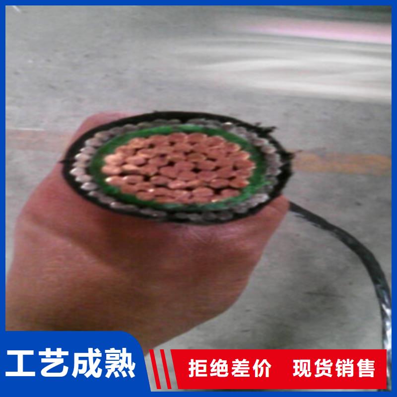 NA-YJV耐火电力电缆3X4+1X2.5