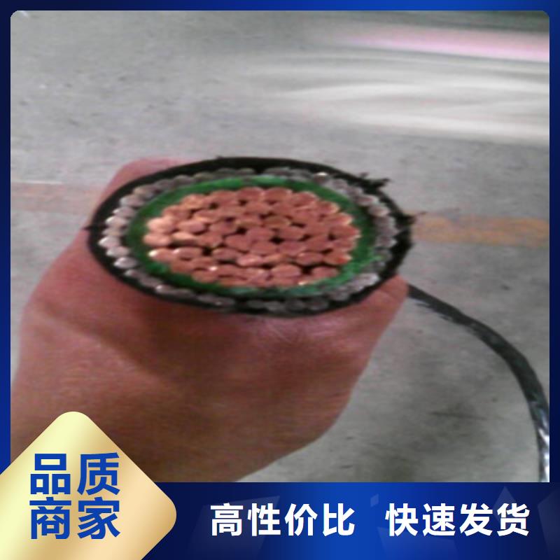 NA-YJV耐火电力电缆3X4+1X2.5