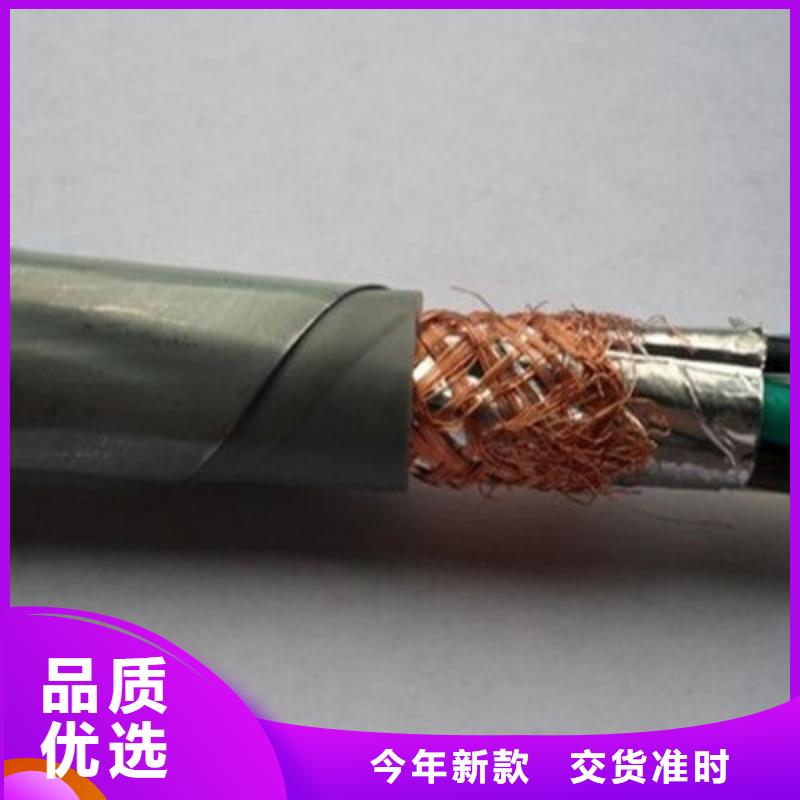 低烟无卤耐火控制电缆NH-KVDVDP2 择优