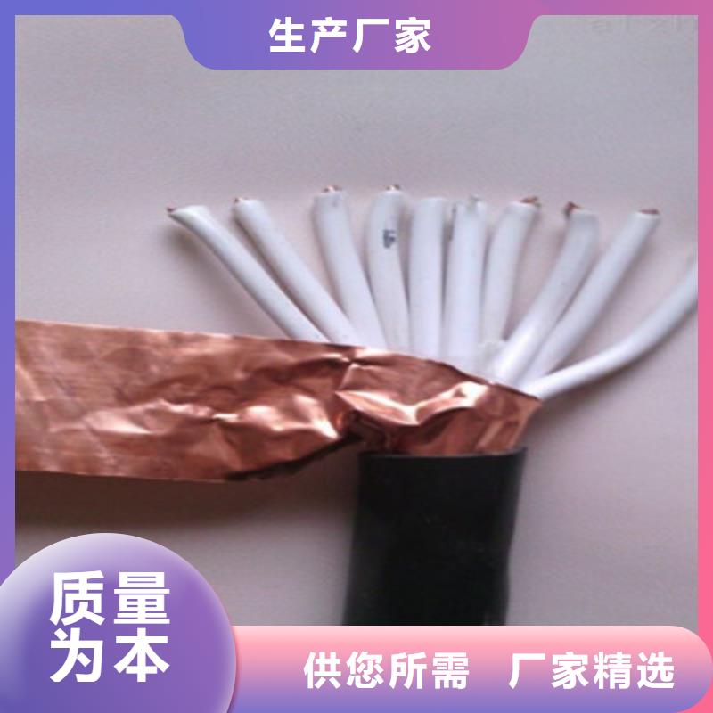 低烟无卤耐火控制电缆NH-KVDVDP2 择优