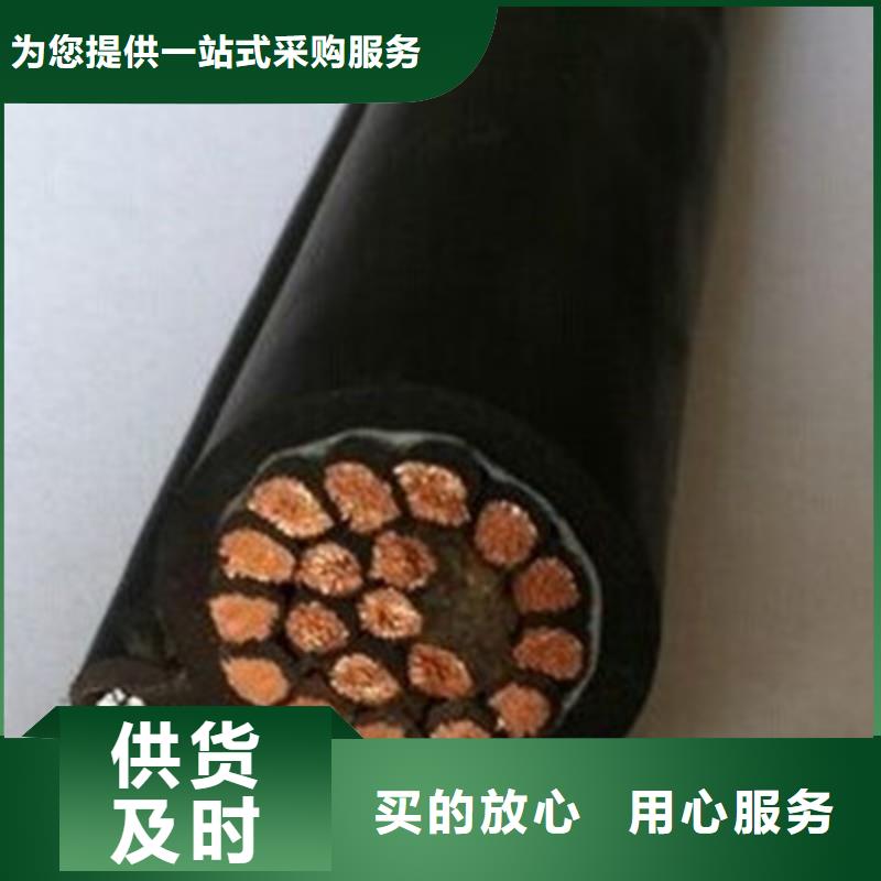 低烟无卤耐火控制电缆NH-KVDVDP2 择优