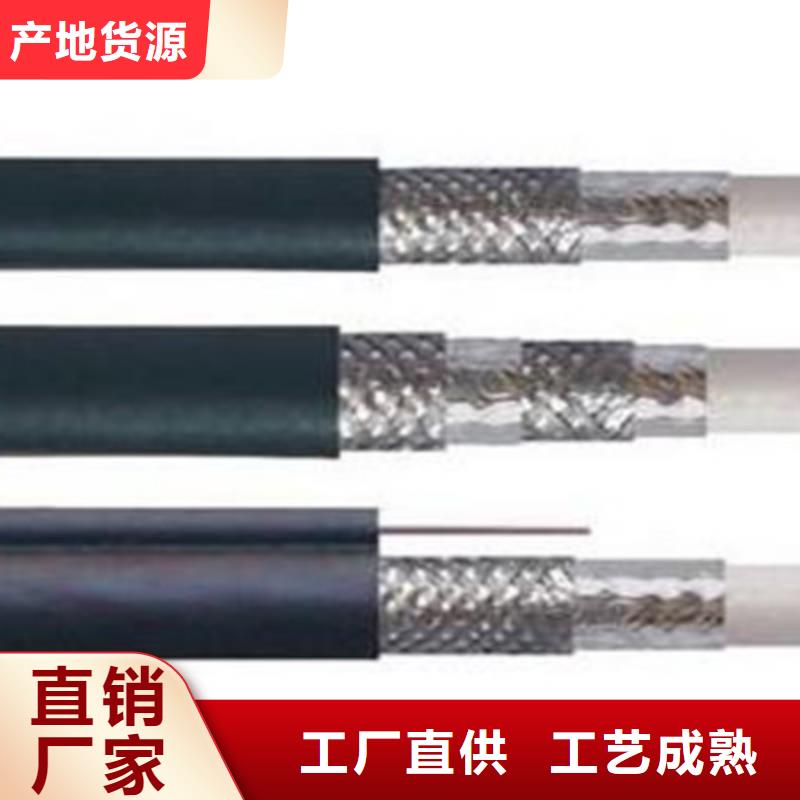 射频同轴电缆RG17875-2-2X4