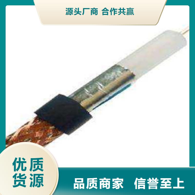 射频同轴电缆RG17875-2-2X4