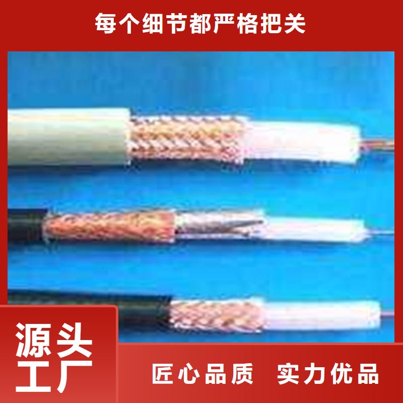 射频同轴电缆RG17875-2-2X4