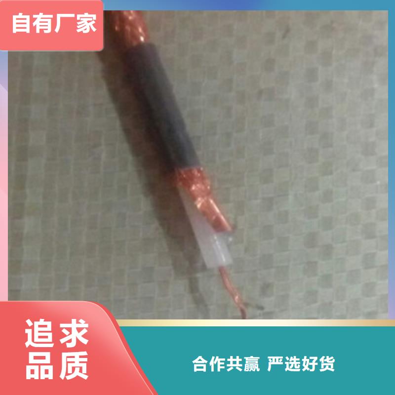 钢丝铠装射频电缆SYP3275-2