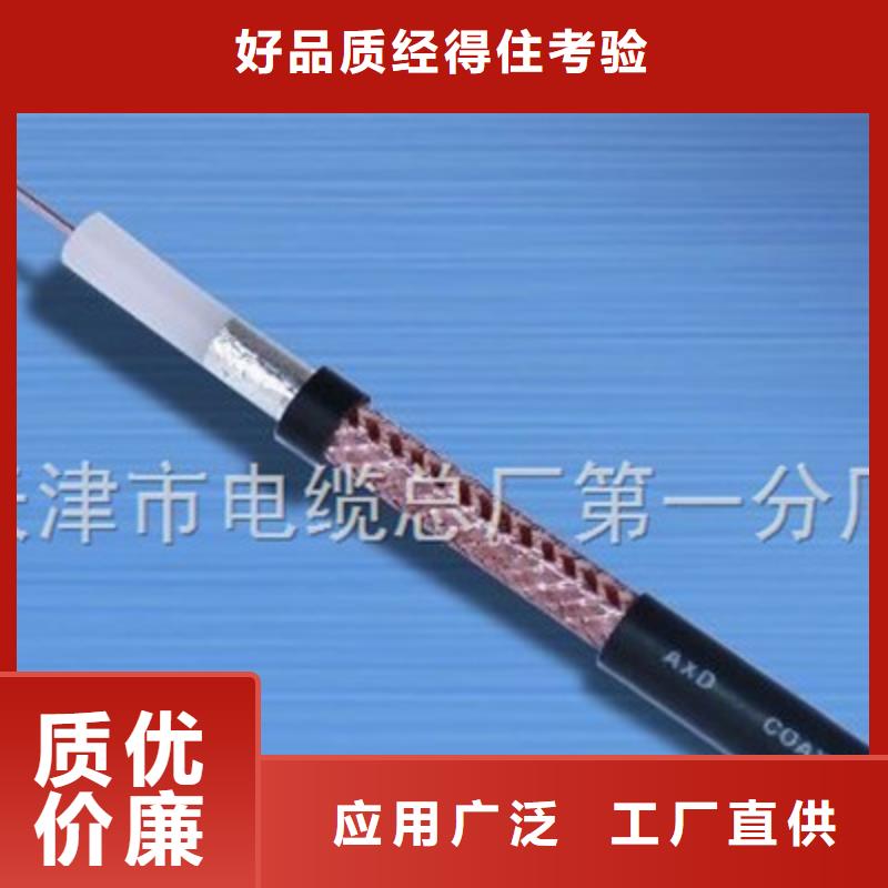 钢丝铠装射频电缆SYP3275-2