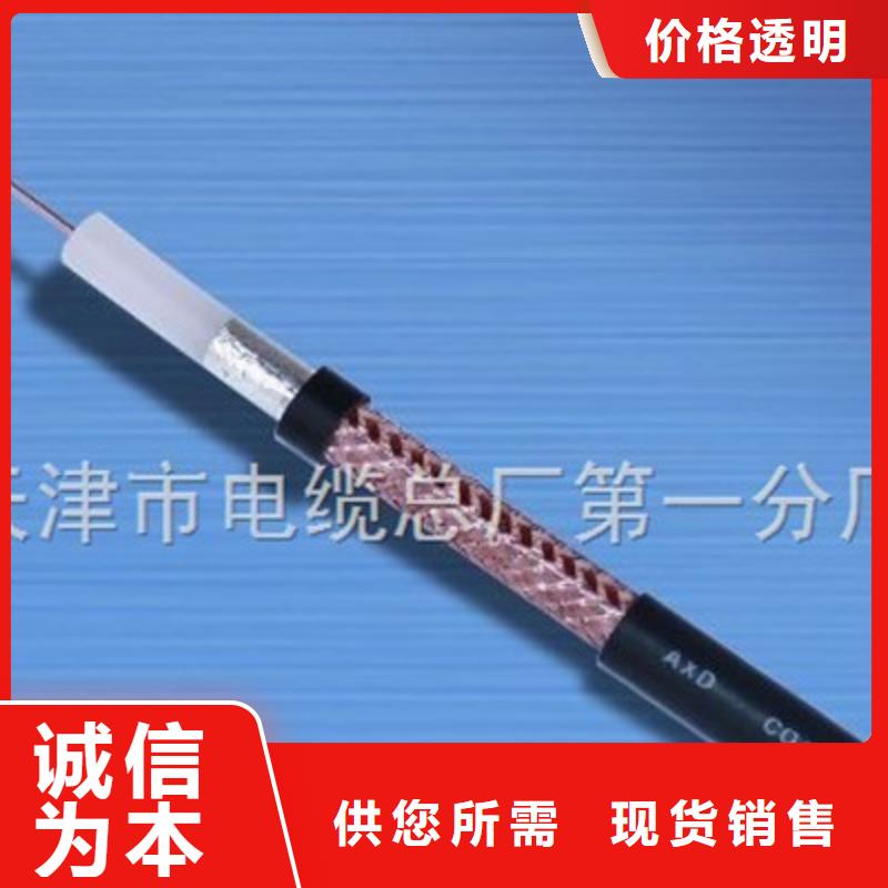 NH-SYV耐火射频同轴电缆75-5